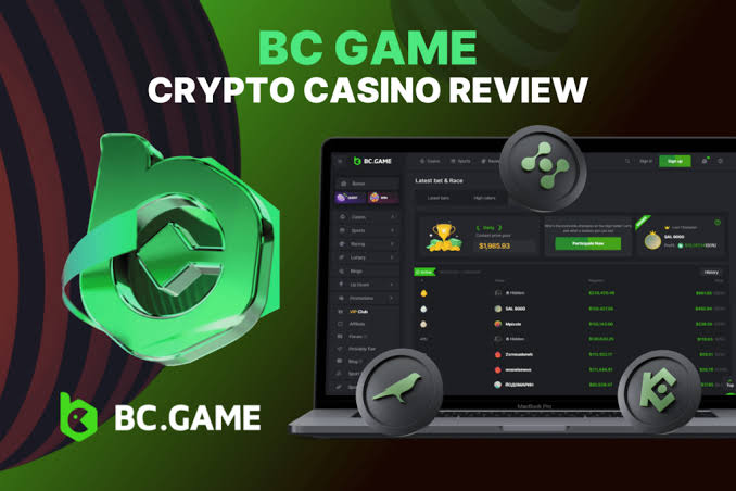 Understanding the BC.Game Login Process Understanding the BC.Game Login Process